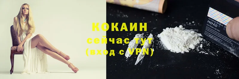 MEGA tor  Ленинградская  Cocaine Боливия 